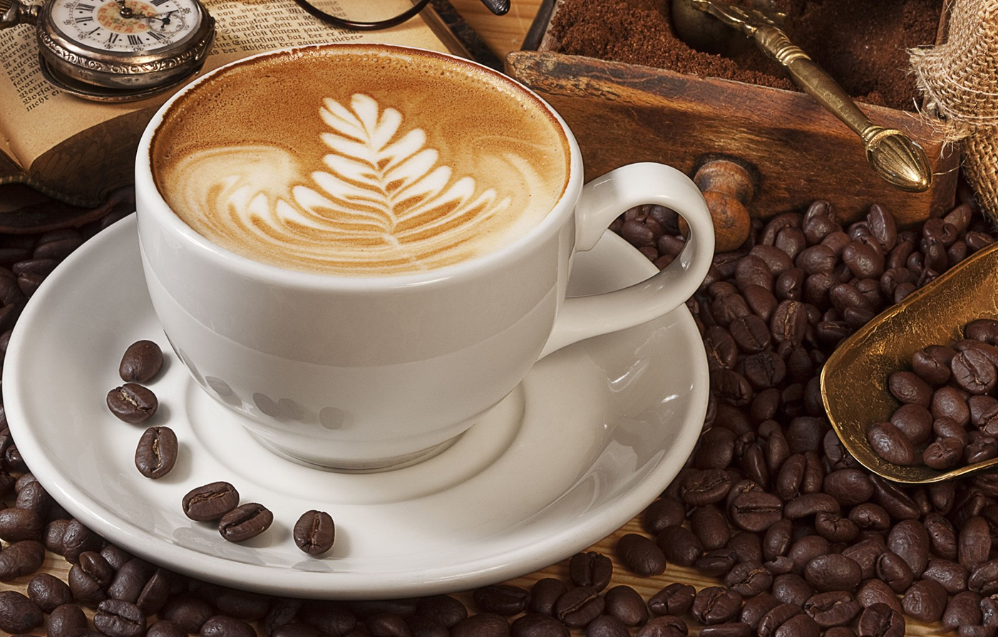 US Barista Champion Morgan Eckroth: The Sprudge Interview